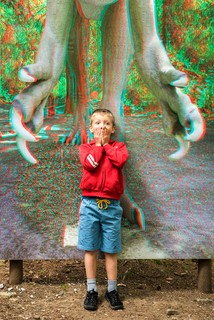 Zdjęcie 12
