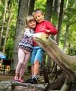 Dinosaurs